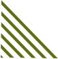 vector__shape