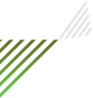 vector__shape