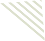 vector__image